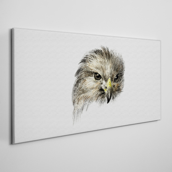 Tableau toile imprimée Portrait d'un oiseau de proie