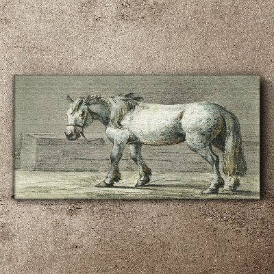 Tableau imprimé sur toile Un cheval qui marche dans des tons de gris