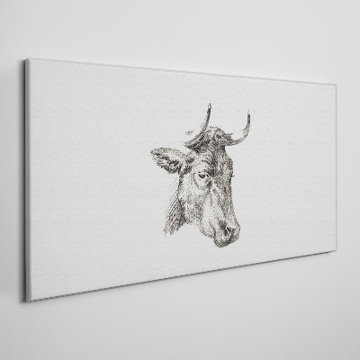 Tableau toile imprimée Portrait d'une vache sur fond blanc