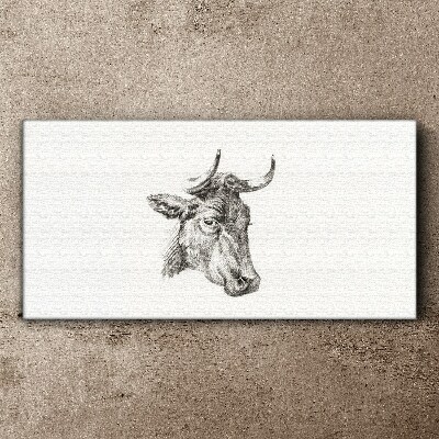 Tableau toile imprimée Portrait d'une vache sur fond blanc