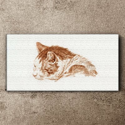 Tableau imprimé sur toile Le moment de sommeil d'un chat