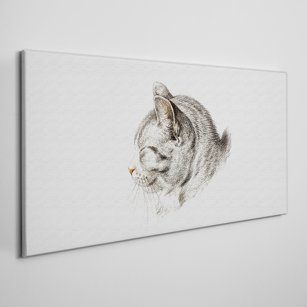 Tableau imprimé sur toile Portrait d'un chat gris sur fond blanc