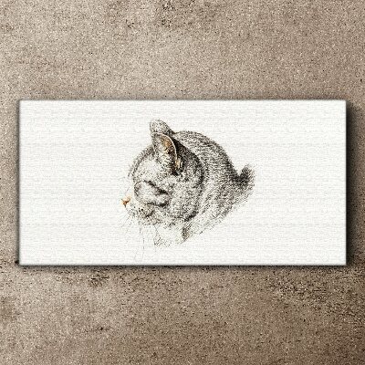 Tableau imprimé sur toile Portrait d'un chat gris sur fond blanc