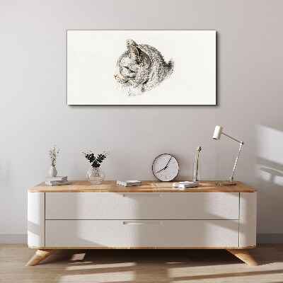 Tableau imprimé sur toile Portrait d'un chat gris sur fond blanc