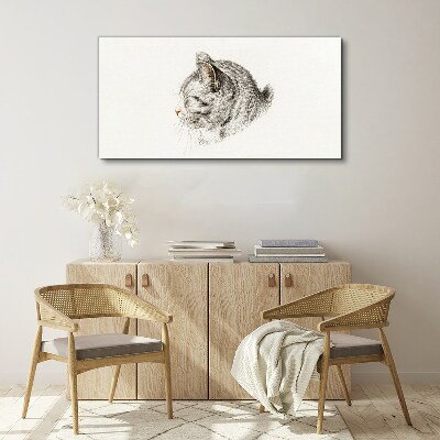 Tableau imprimé sur toile Portrait d'un chat gris sur fond blanc