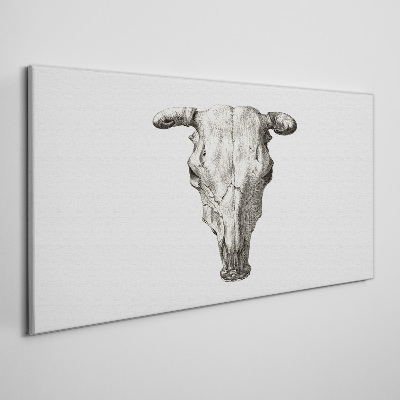 Tableau imprimé sur toile Crâne sur fond blanc