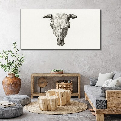 Tableau imprimé sur toile Crâne sur fond blanc