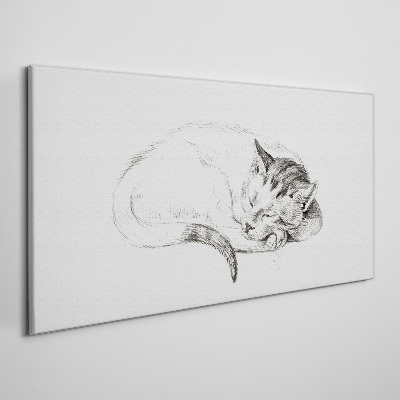 Tableau toile imprimée Chat endormi
