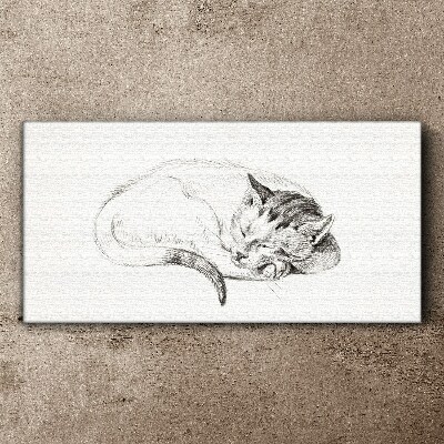 Tableau toile imprimée Chat endormi