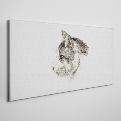 Tableau sur toile Portrait d'un chat sur fond blanc