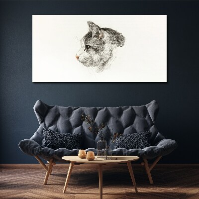 Tableau sur toile Portrait d'un chat sur fond blanc