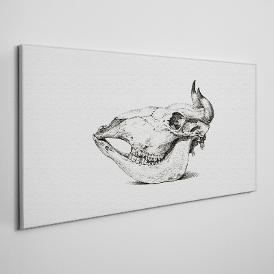 Tableau toile imprimée Crâne d'animal