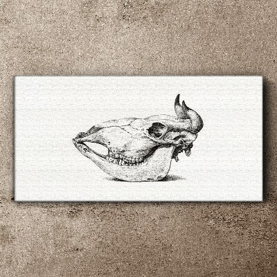 Tableau toile imprimée Crâne d'animal