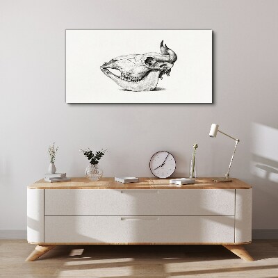 Tableau toile imprimée Crâne d'animal