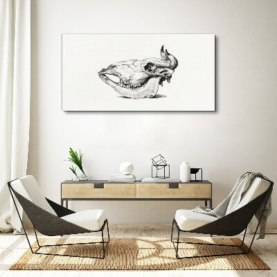 Tableau toile imprimée Crâne d'animal
