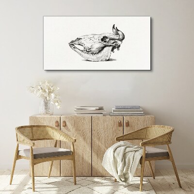 Tableau toile imprimée Crâne d'animal