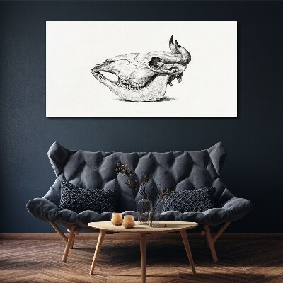 Tableau toile imprimée Crâne d'animal