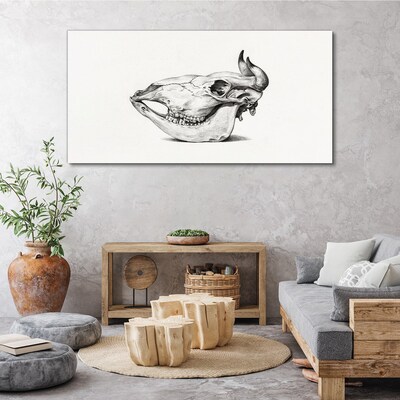 Tableau toile imprimée Crâne d'animal