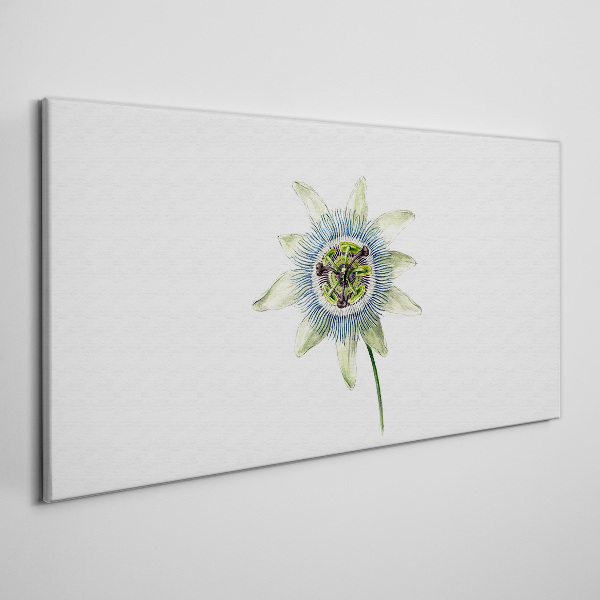Tableau toile imprimée Fleur de la passion sur fond blanc