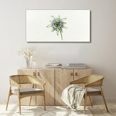 Tableau toile imprimée Fleur de la passion sur fond blanc