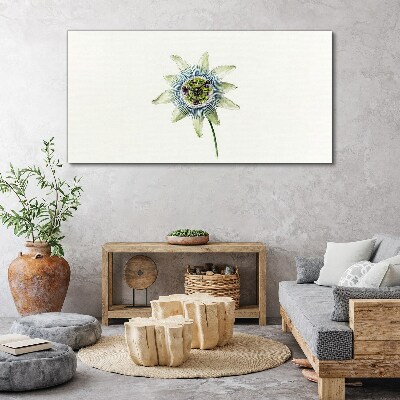 Tableau toile imprimée Fleur de la passion sur fond blanc