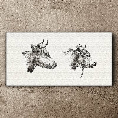 Tableau imprimé sur toile Portrait de deux vaches
