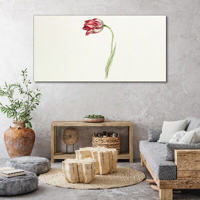 Tableau sur toile Tulipe aux nuances délicates