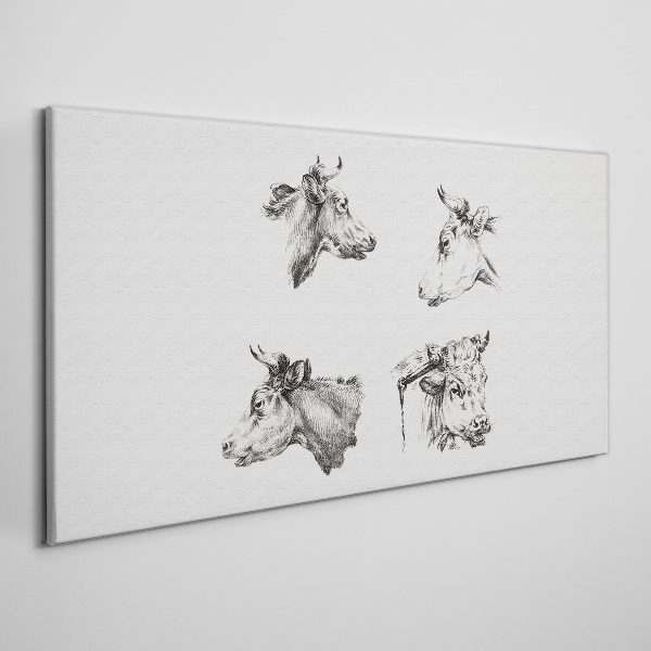 Tableau sur toile Portrait noir et blanc de bétail