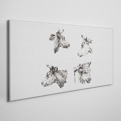 Tableau sur toile Portrait noir et blanc de bétail