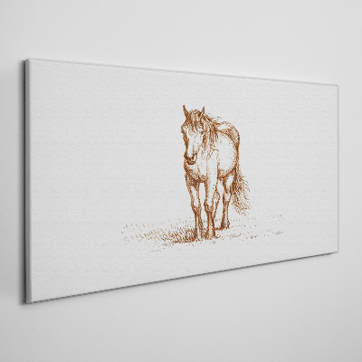 Tableau imprimé sur toile Un cheval dans le pré