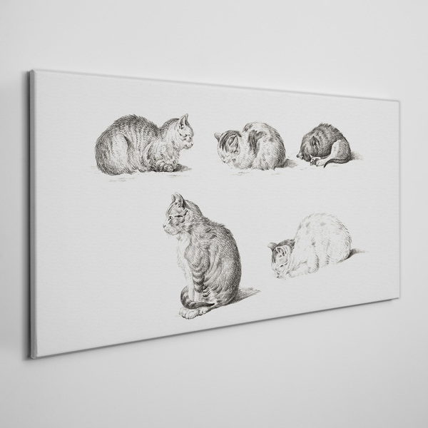 Tableau sur toile Différentes attitudes des chats