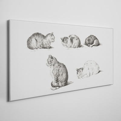 Tableau sur toile Différentes attitudes des chats