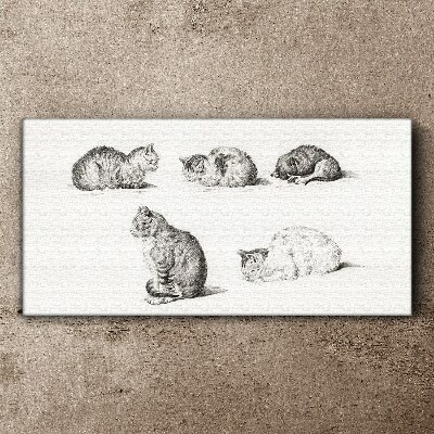 Tableau sur toile Différentes attitudes des chats
