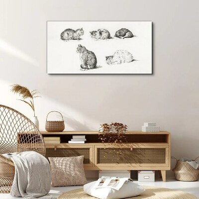 Tableau sur toile Différentes attitudes des chats