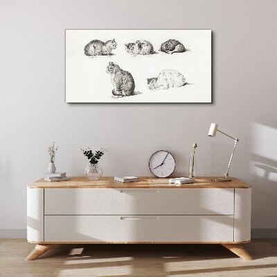 Tableau sur toile Différentes attitudes des chats
