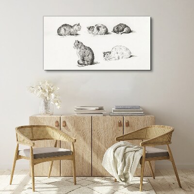 Tableau sur toile Différentes attitudes des chats