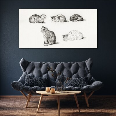 Tableau sur toile Différentes attitudes des chats