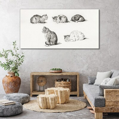 Tableau sur toile Différentes attitudes des chats