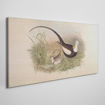 Tableau toile imprimée Oiseaux dans l'herbe
