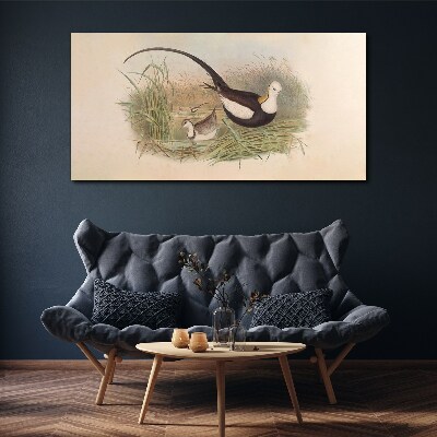 Tableau toile imprimée Oiseaux dans l'herbe