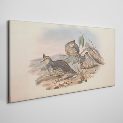 Tableau imprimé sur toile Vie paisible des oiseaux sur la plage