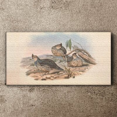 Tableau imprimé sur toile Vie paisible des oiseaux sur la plage