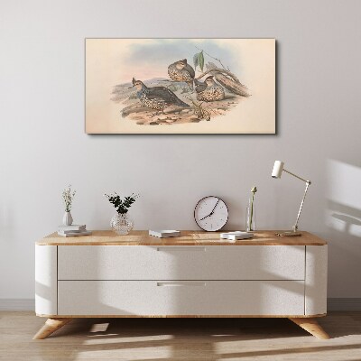 Tableau imprimé sur toile Vie paisible des oiseaux sur la plage