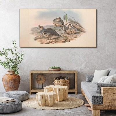 Tableau imprimé sur toile Vie paisible des oiseaux sur la plage