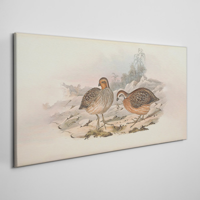 Tableau toile imprimée Un couple d'oiseaux sur un fond délicat