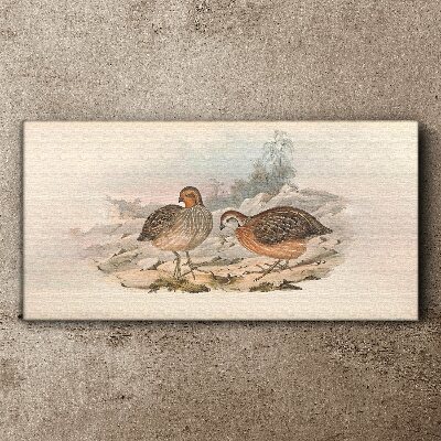 Tableau toile imprimée Un couple d'oiseaux sur un fond délicat