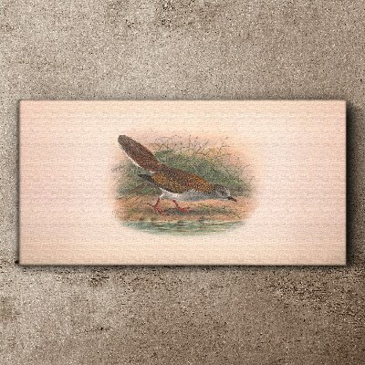 Tableau imprimé sur toile Un oiseau au-dessus de l'eau