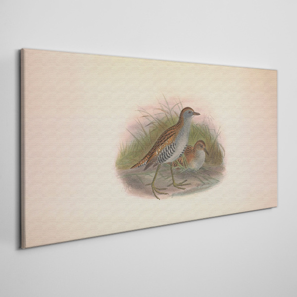 Tableau sur toile Oiseaux dans l'herbe