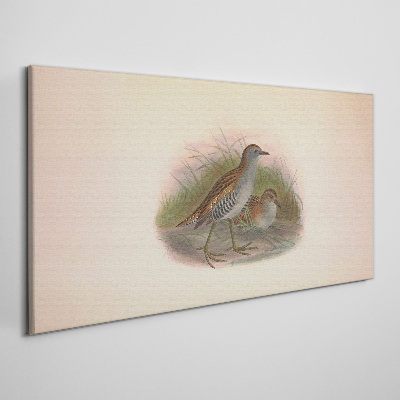 Tableau sur toile Oiseaux dans l'herbe