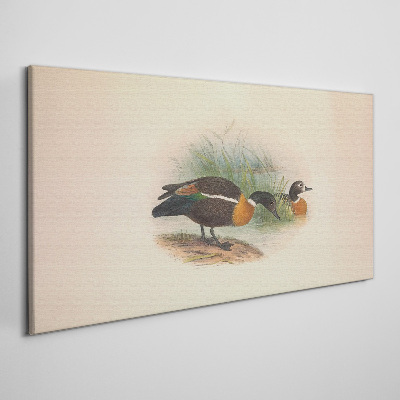 Tableau imprimé sur toile Deux canards dans l'herbe